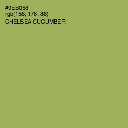 #9EB058 - Chelsea Cucumber Color Image
